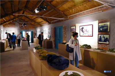 东营·来自重点工程项目一线的报道 | 黄河口生态旅游区 擦亮“黄河入海、我们回家”品牌，展览服务助力生态文旅升级